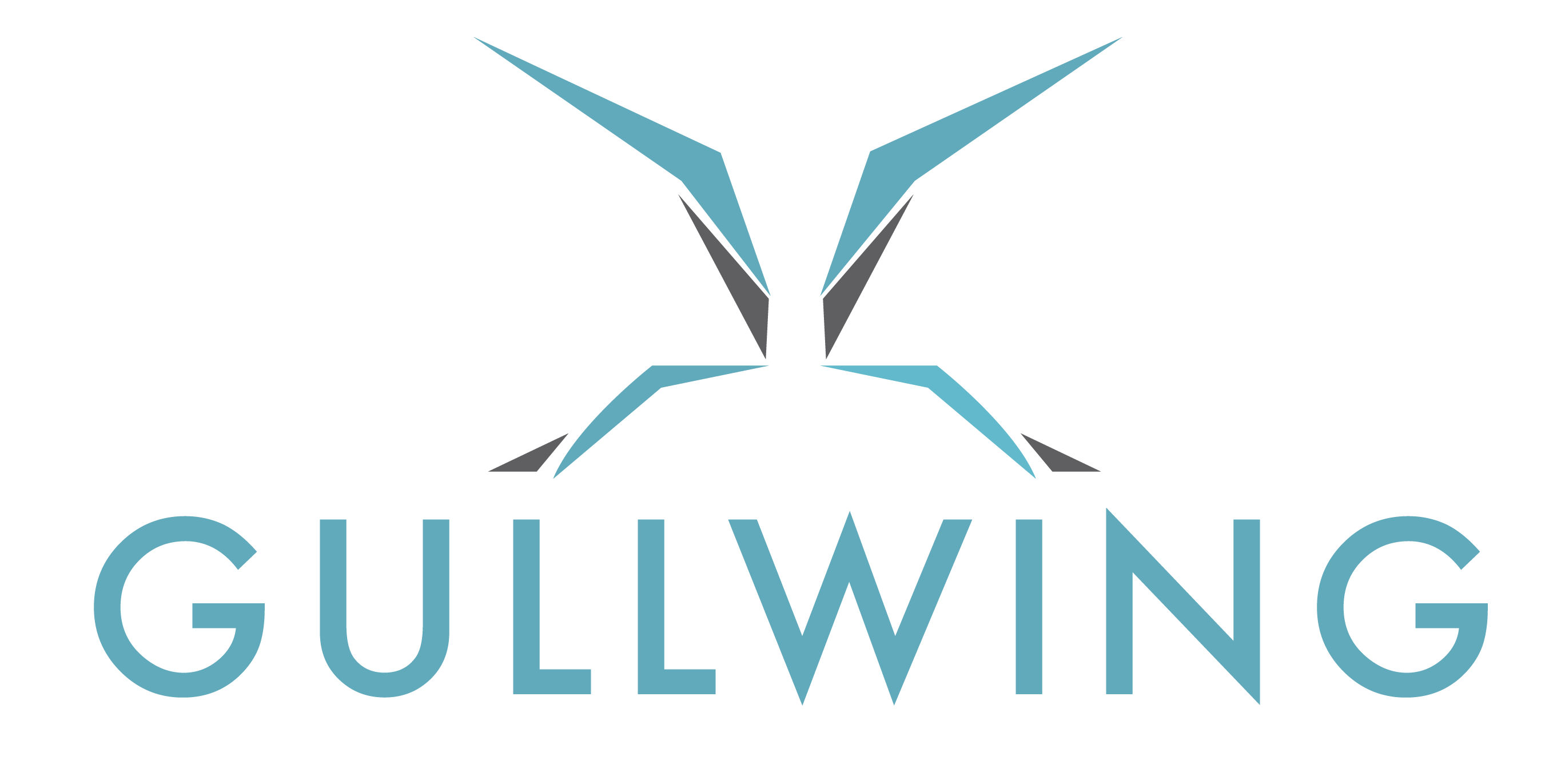 Gullwing logo